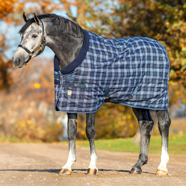 #colour_navy-check-indigo