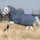 #colour_navy-check-teal