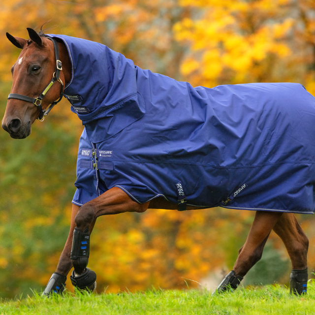 Horseware Ireland Amigo Hero 900 Plus Classic Front Closure Medium 200g #colour_atlantic-blue-ivory