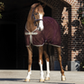 #colour_fig-navy-tan