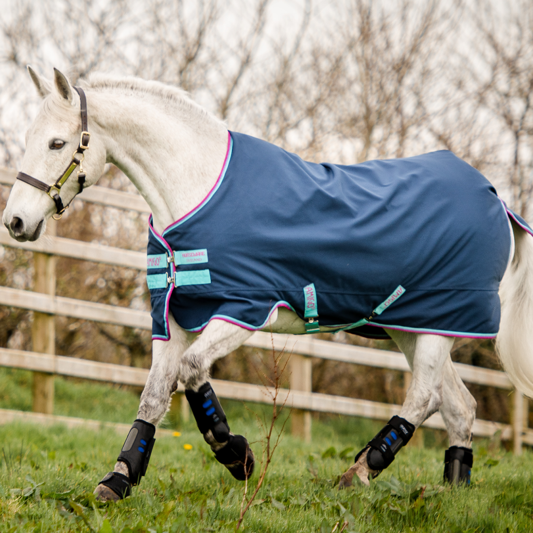 Horseware Ireland Amigo Hero 900 Pony Turnout Medium 200g #colour_dark-blue-capri-raspberry