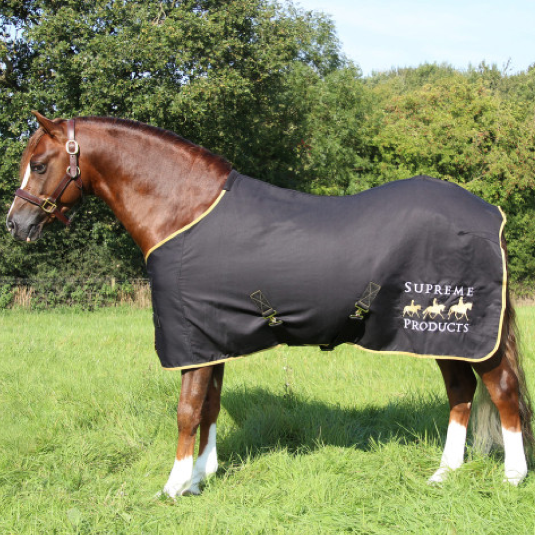 Ausstellungsblatt für Supreme-Produkte