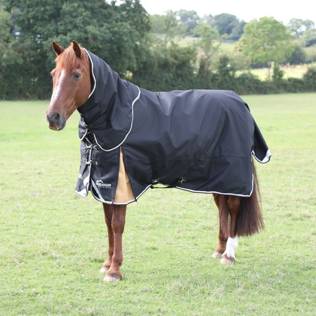 Shires Highlander Plus 200 Turnout Rug & Neck Set #colour_black