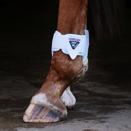 Equilibrium Tri-Zone Fetlock Boots #colour_white