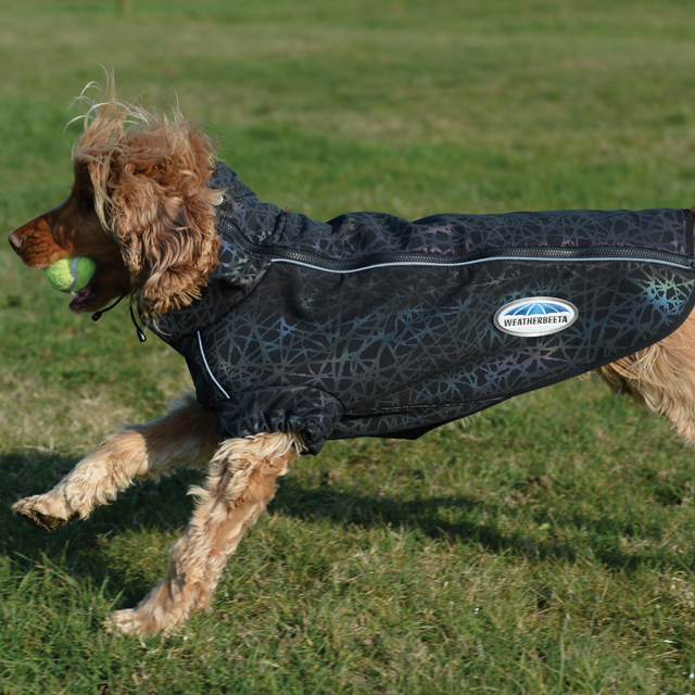 Weatherbeeta Comfitec Reflective Print Active Dog Coat #colour_black-reflective-rainbow