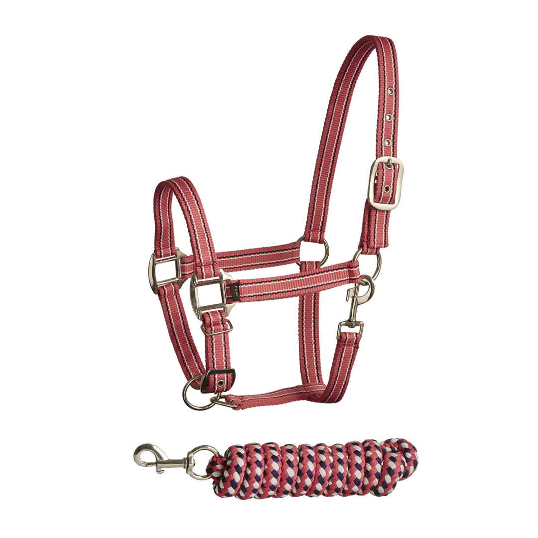 Bitz Stripe Two Tone Headcollar/Lead Rope #colour_pink-navy