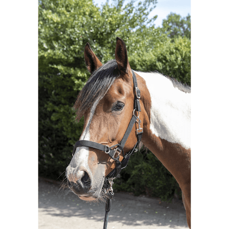 HKM Safe Control Style Head Collar #colour_black